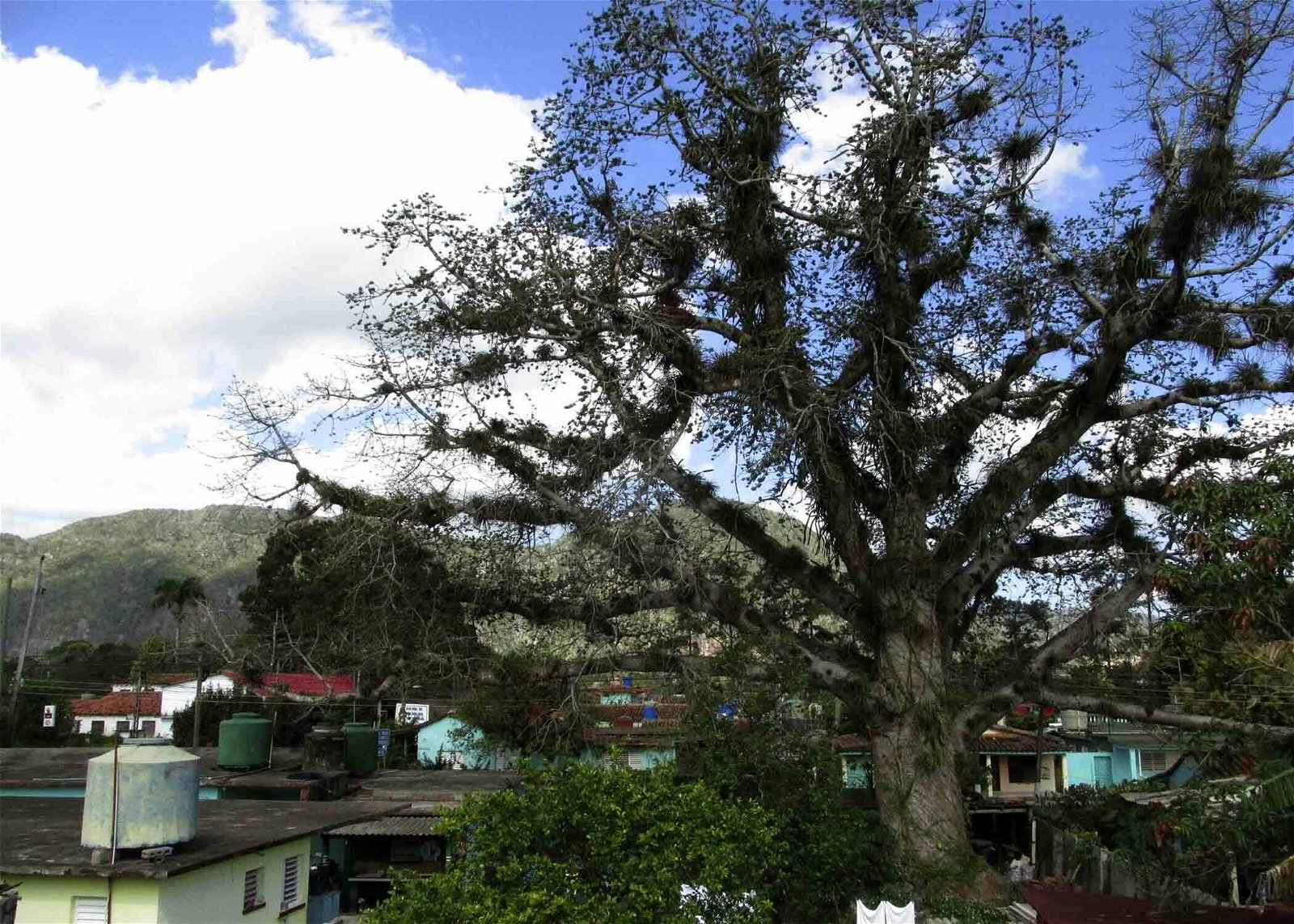 Quedarse En Casa Viñales 224402