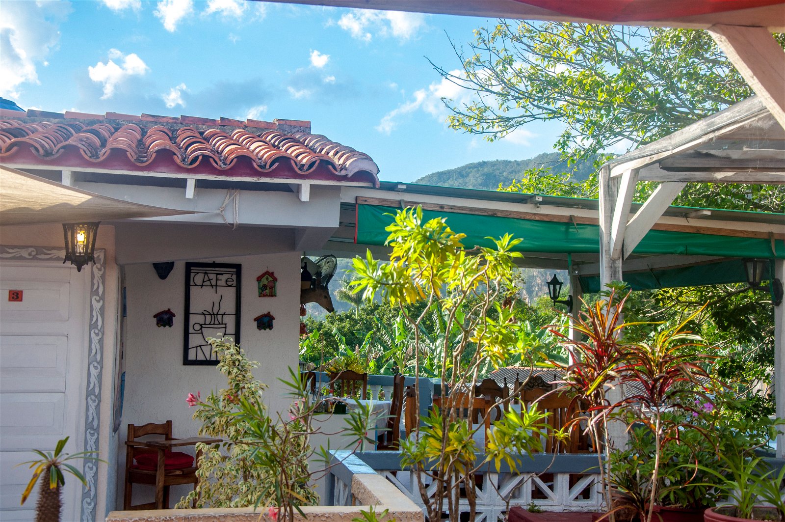 Quedarse En Casa Viñales 224749