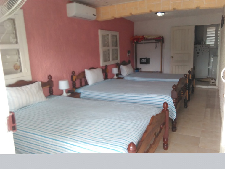 Room In The House Viñales 229530-6