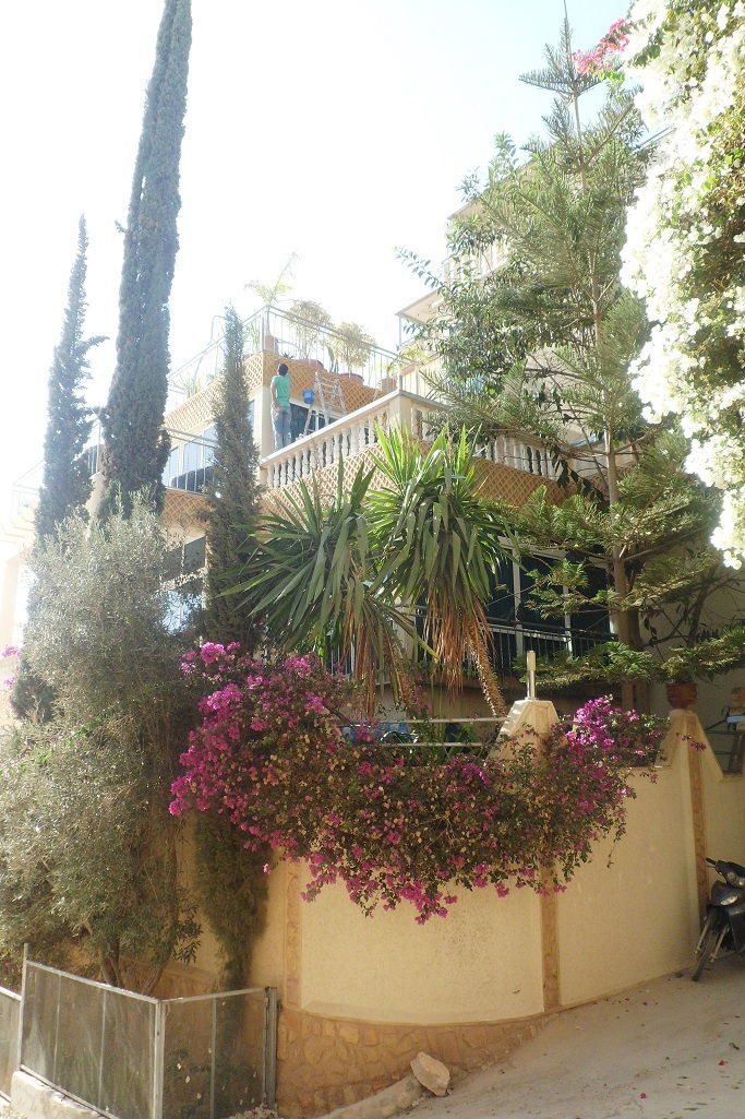 Estudio Independiente Tamraght 89097