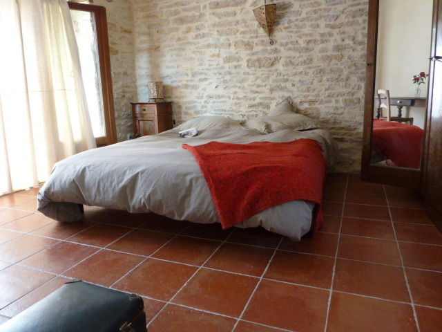 Estudio Independiente Catus 9329