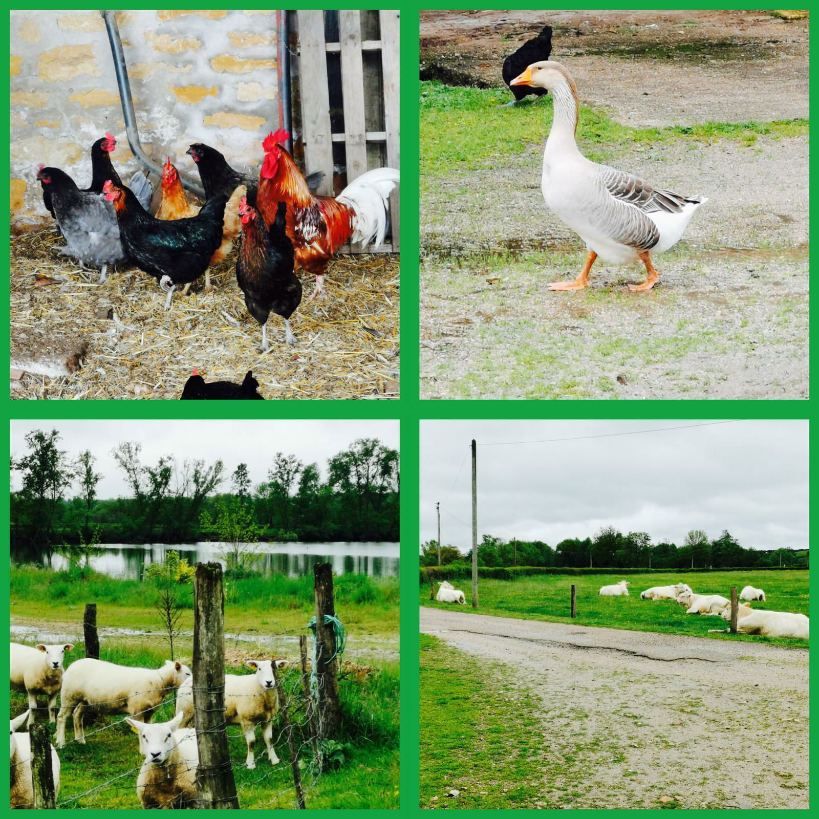 Estudio Independiente Rigny-sur-Arroux 248898