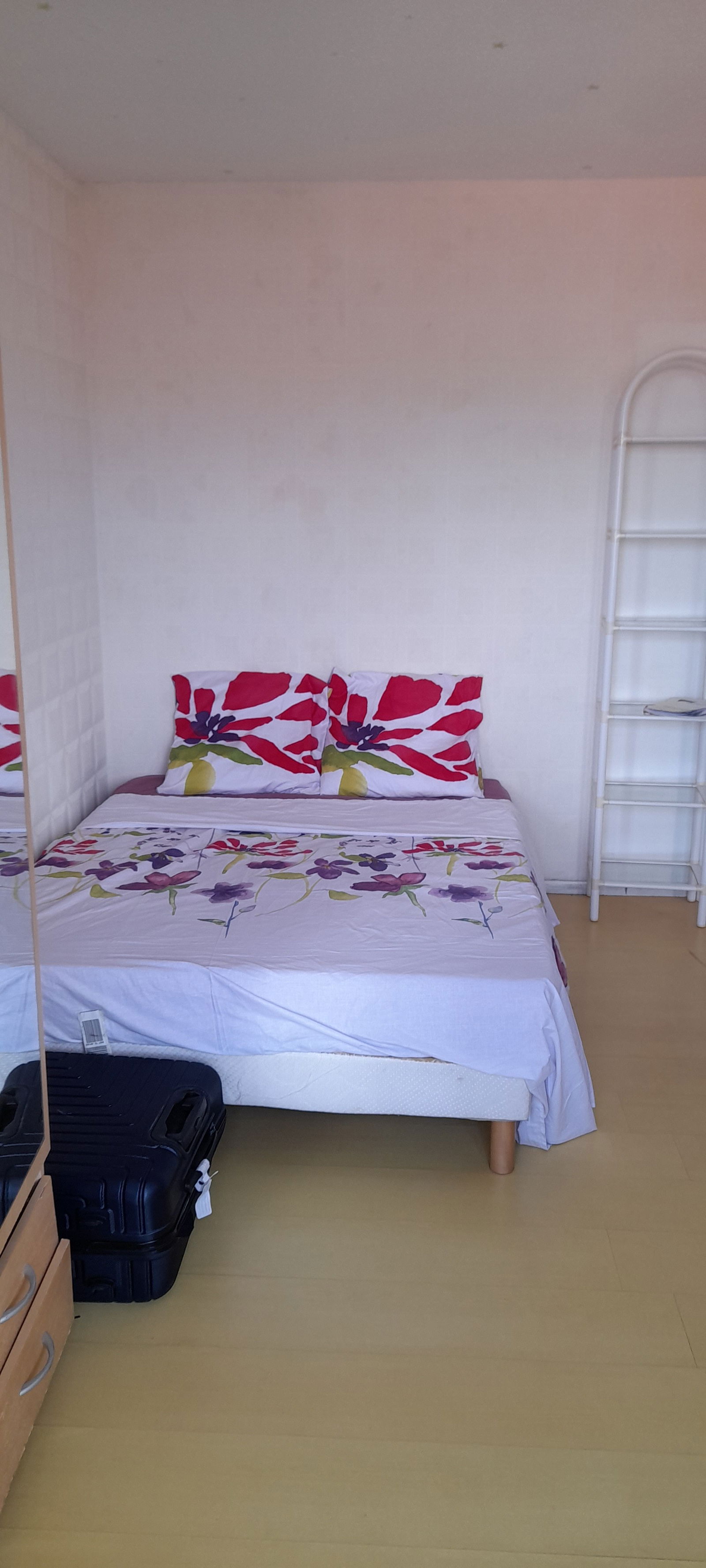 Estudio Independiente Schoelcher 258087