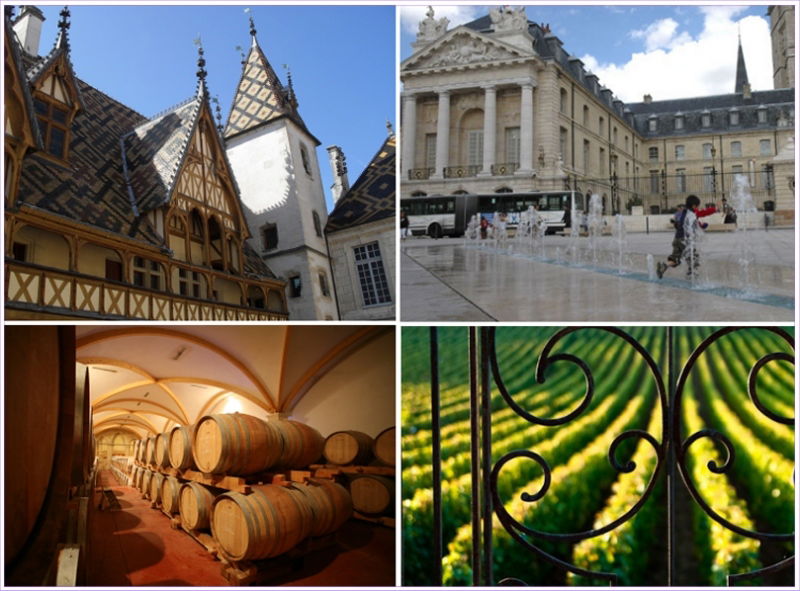 Estudio Independiente Montambert 50075