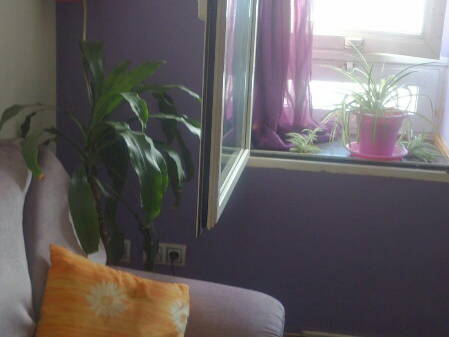 Quedarse En Casa Zaragoza 118940-3