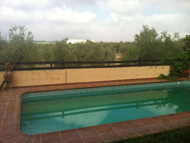 Gastgezin Sevilla 32849-3