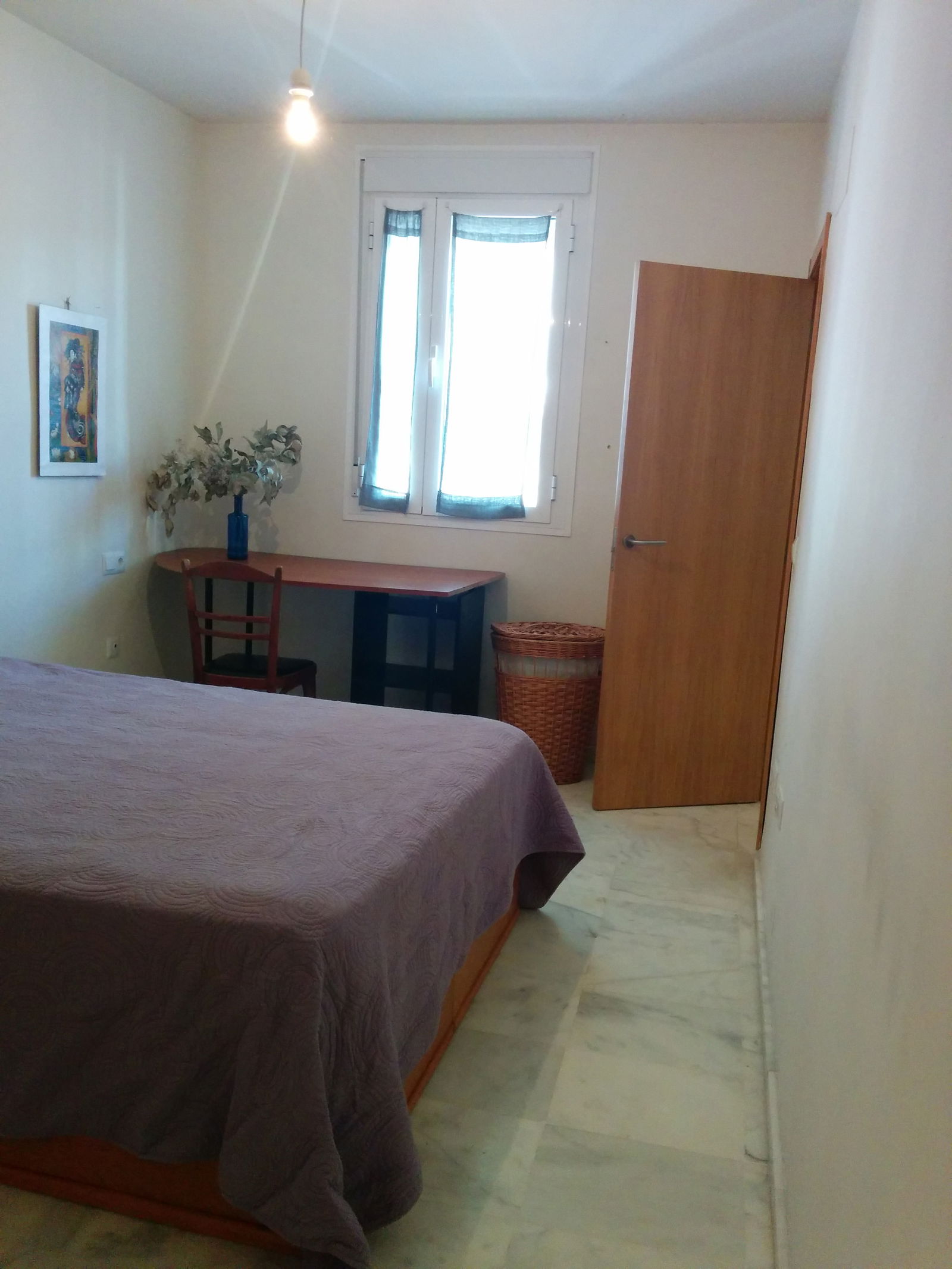 Colocación Sevilla 92319