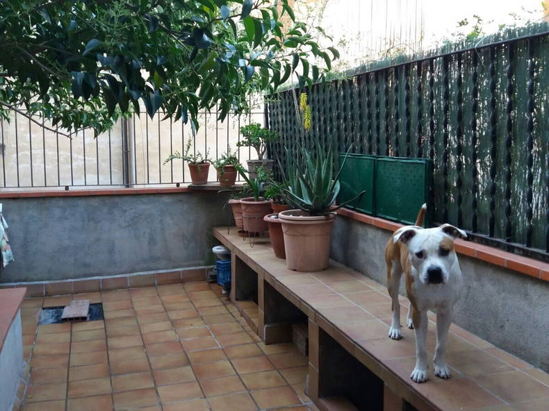 Gastenkamers Barcelona 173935-4