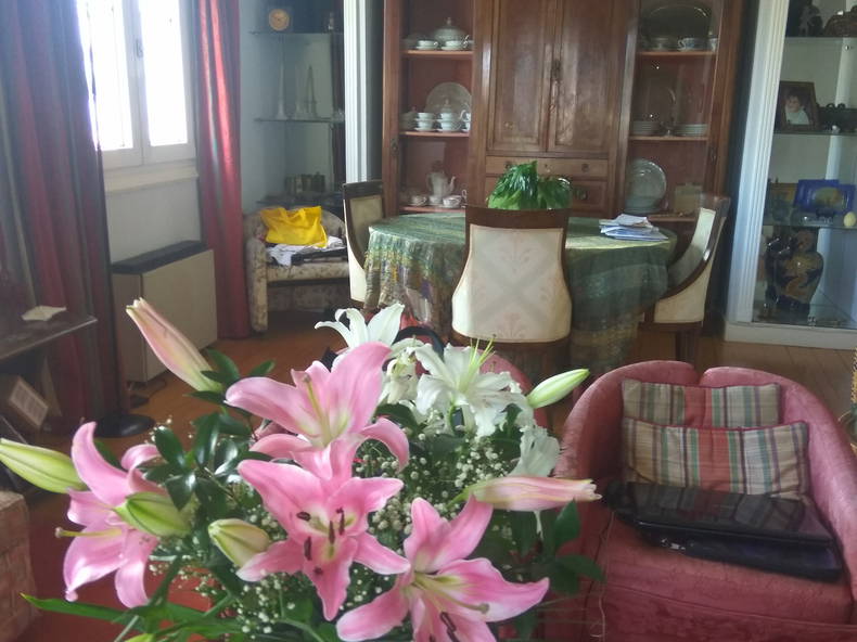 Gastfamilie Bilbo 215139-3