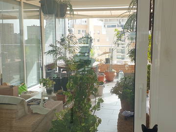 Chambre Chez L'habitant Alacant 224874-16