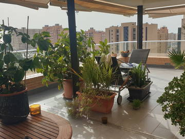 Chambre Chez L'habitant Alacant 224874-17