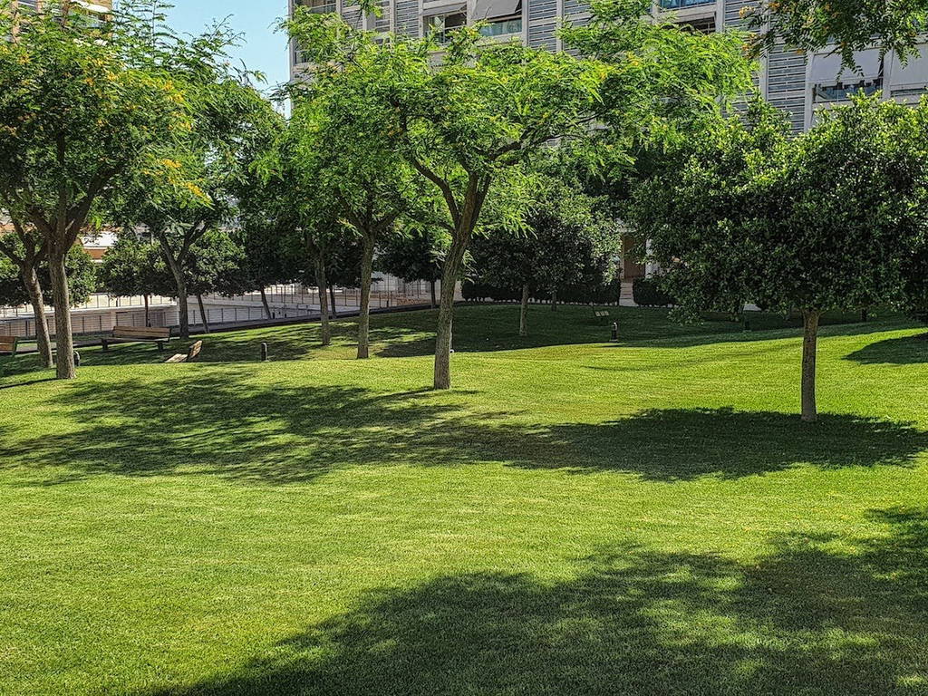 Gastfamilie Alacant 224874-1