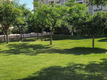 Homestay Alacant 224874-1