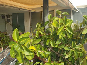 Homestay Alacant 232578-15