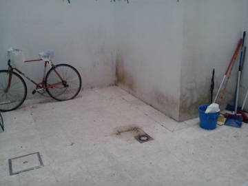 Colocation Sevilla 175578-5