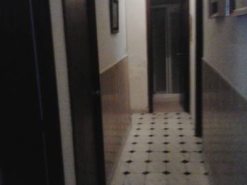 Colocation Sevilla 175578-6