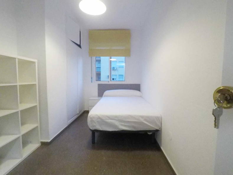 Colocación Málaga 245670-2