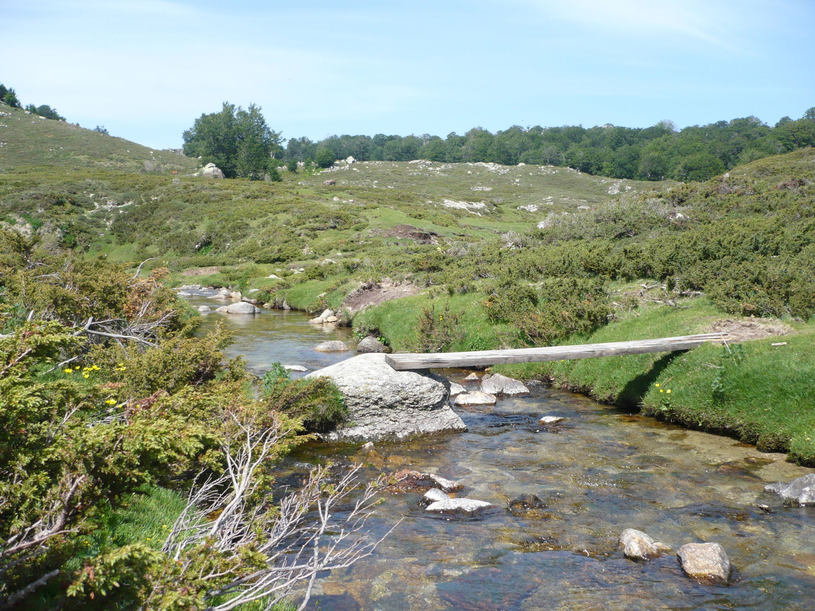 Estudio Independiente Zicavo 64031