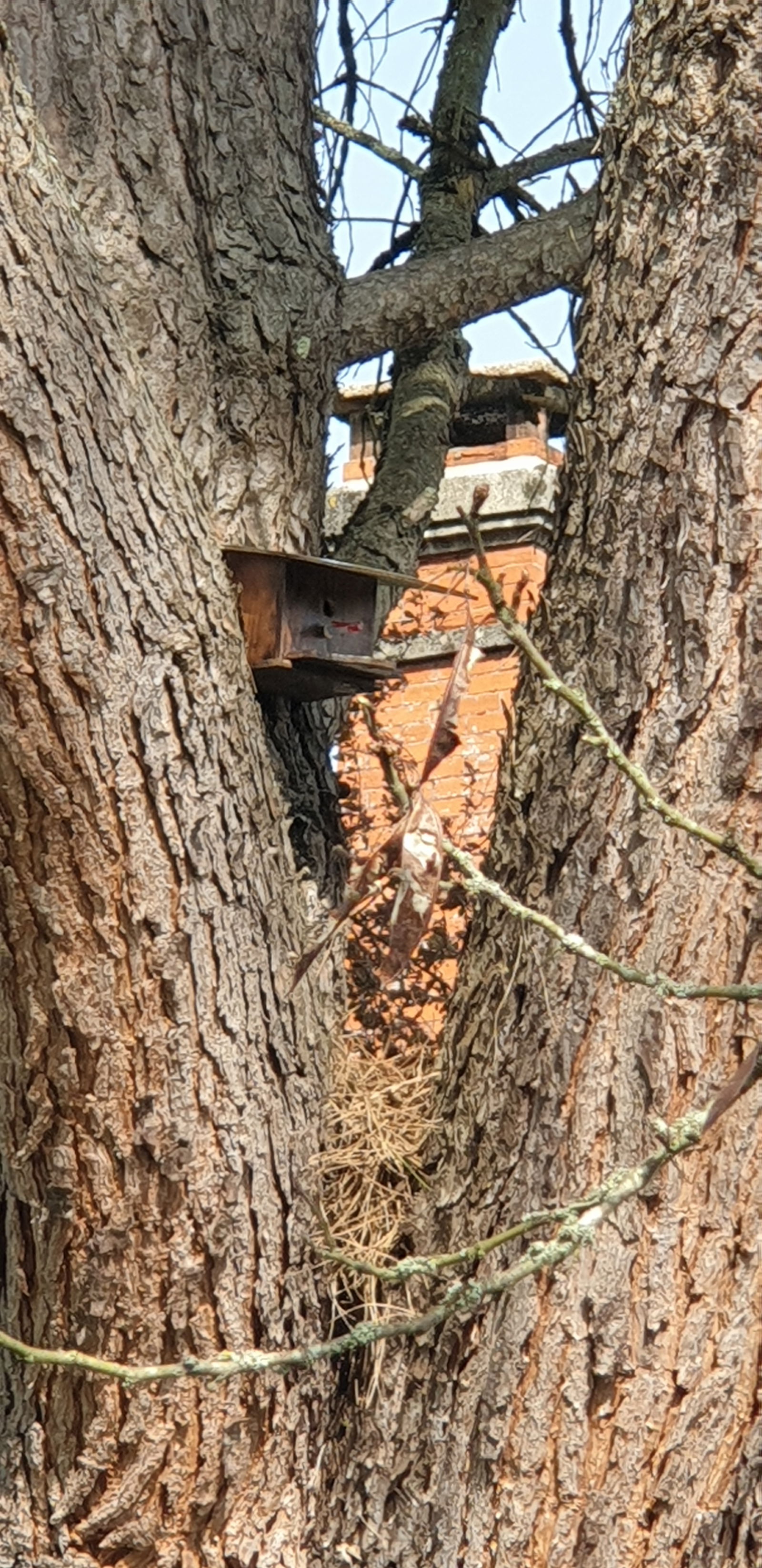 Quedarse En Casa Porchères 258211