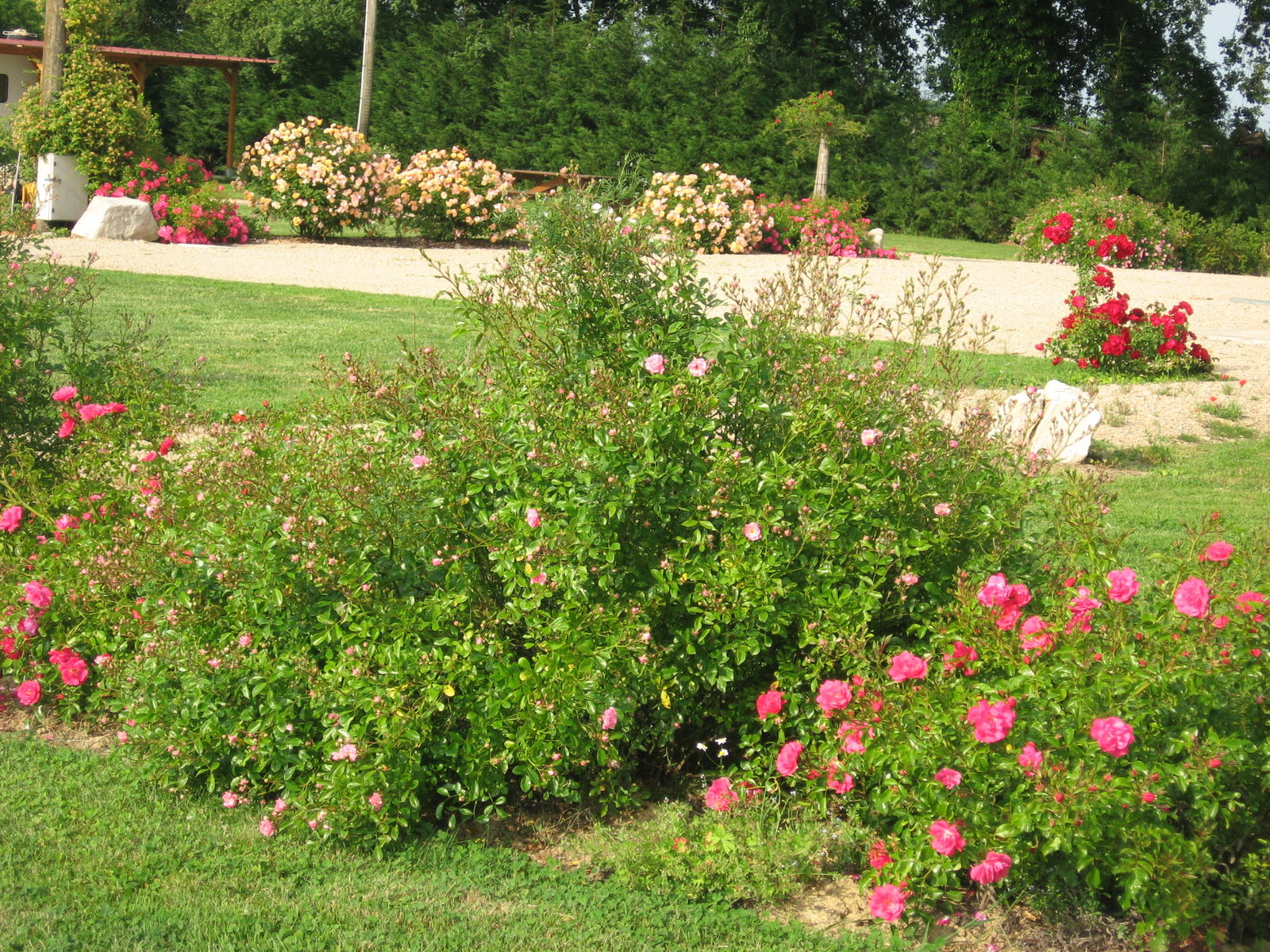 Estudio Independiente Confrançon 136609