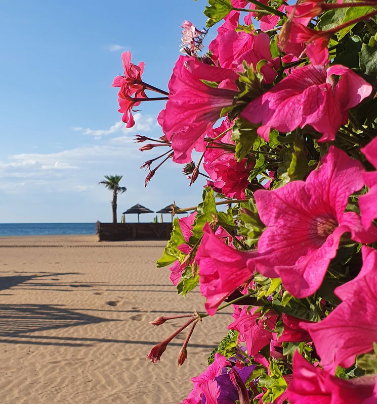 Estudio Independiente Valras-Plage 265792