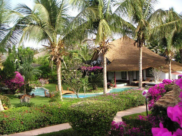 Estudio Independiente Saly 36883