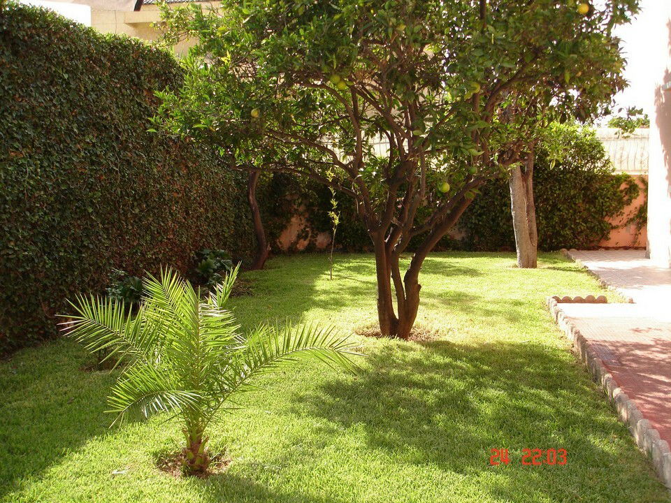 Estudio Independiente Casablanca 156958