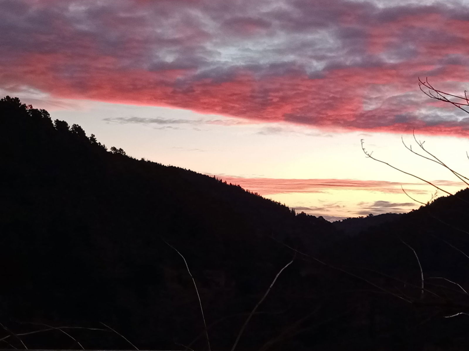 Estudio Independiente Chambon 69119