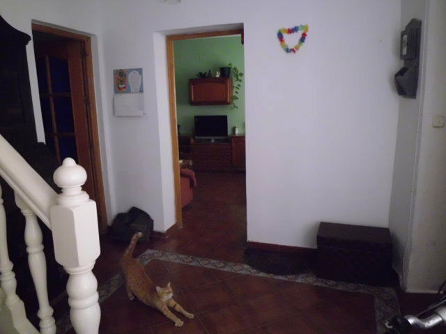 Colocación Almería 110957