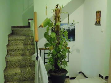 Colocation Almería 110957-8