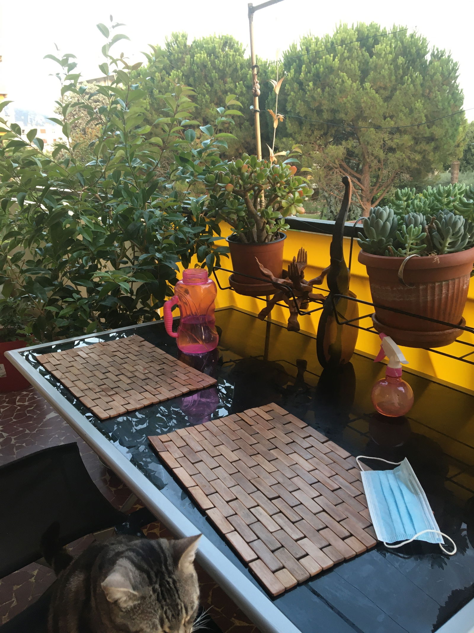 Quedarse En Casa Nice 239734