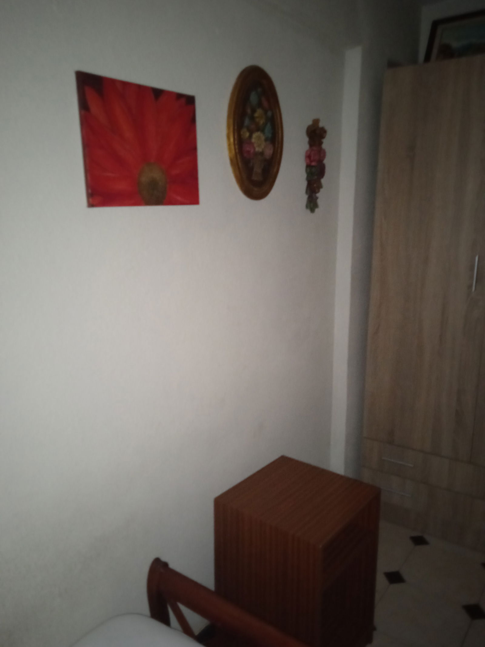 Colocación Madrid 247062