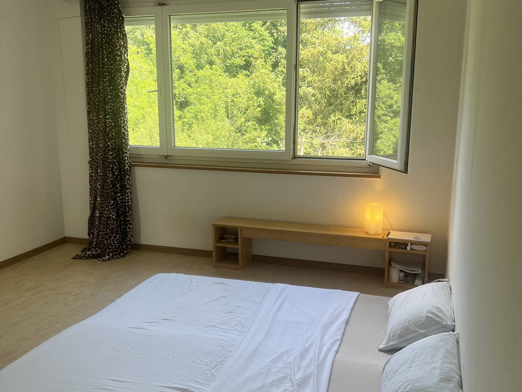 Chambre Chez L'habitant Zürich 667382-1