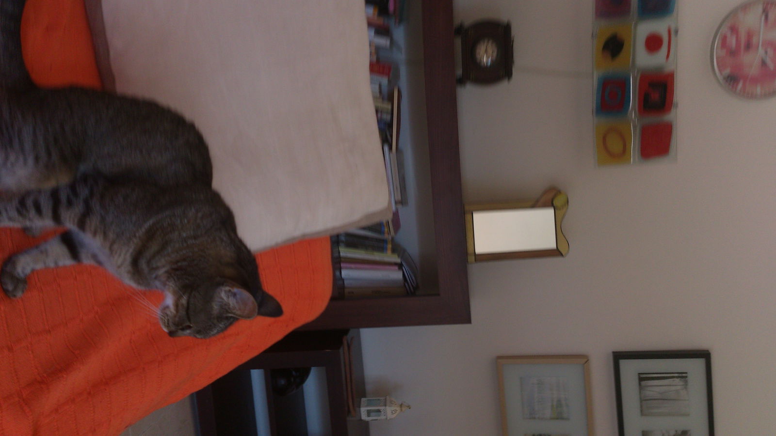 Colocación Sant Cugat del Vallès 81203