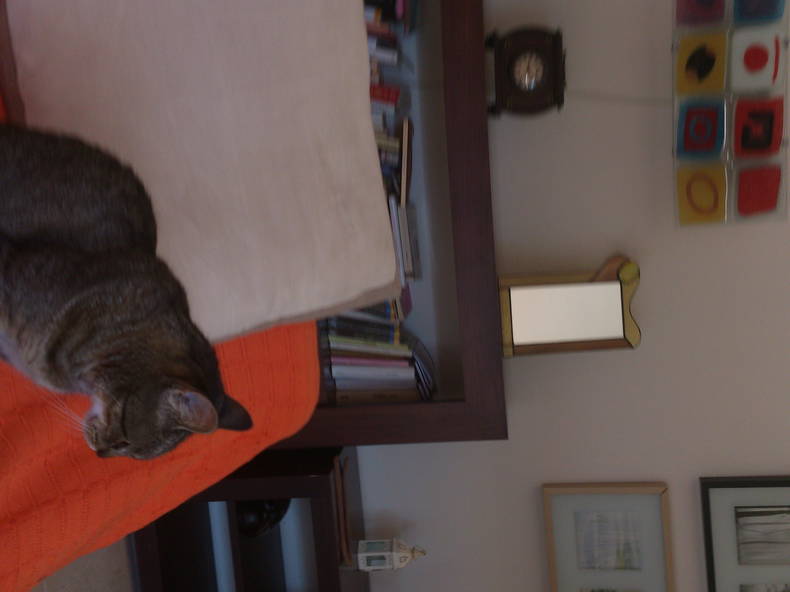 Colocación Sant Cugat del Vallès 81203-2