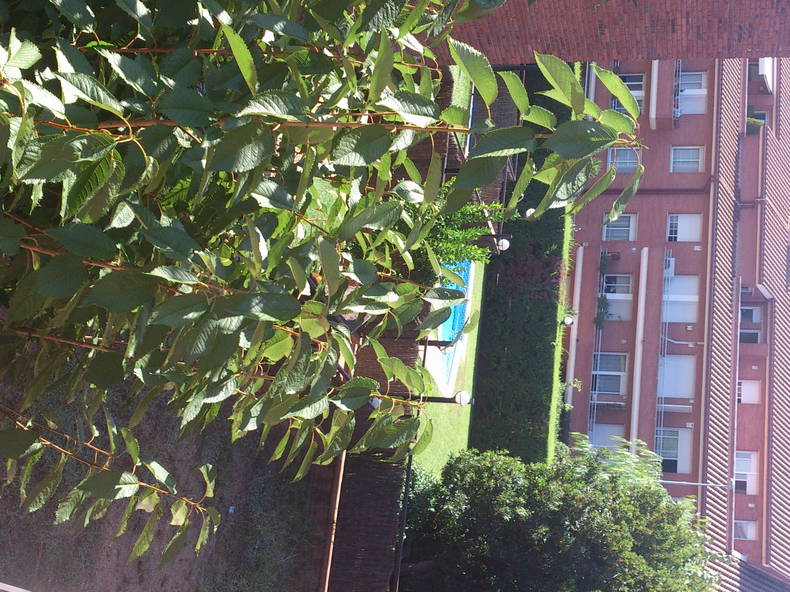 Colocación Sant Cugat del Vallès 81203-5