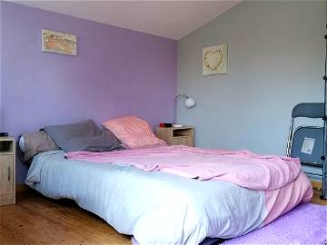 Roomlala | Alquilo habitación amoblada para un solo compañero de piso