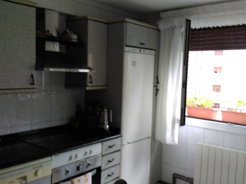 Gastfamilie Bilbo 162346-3