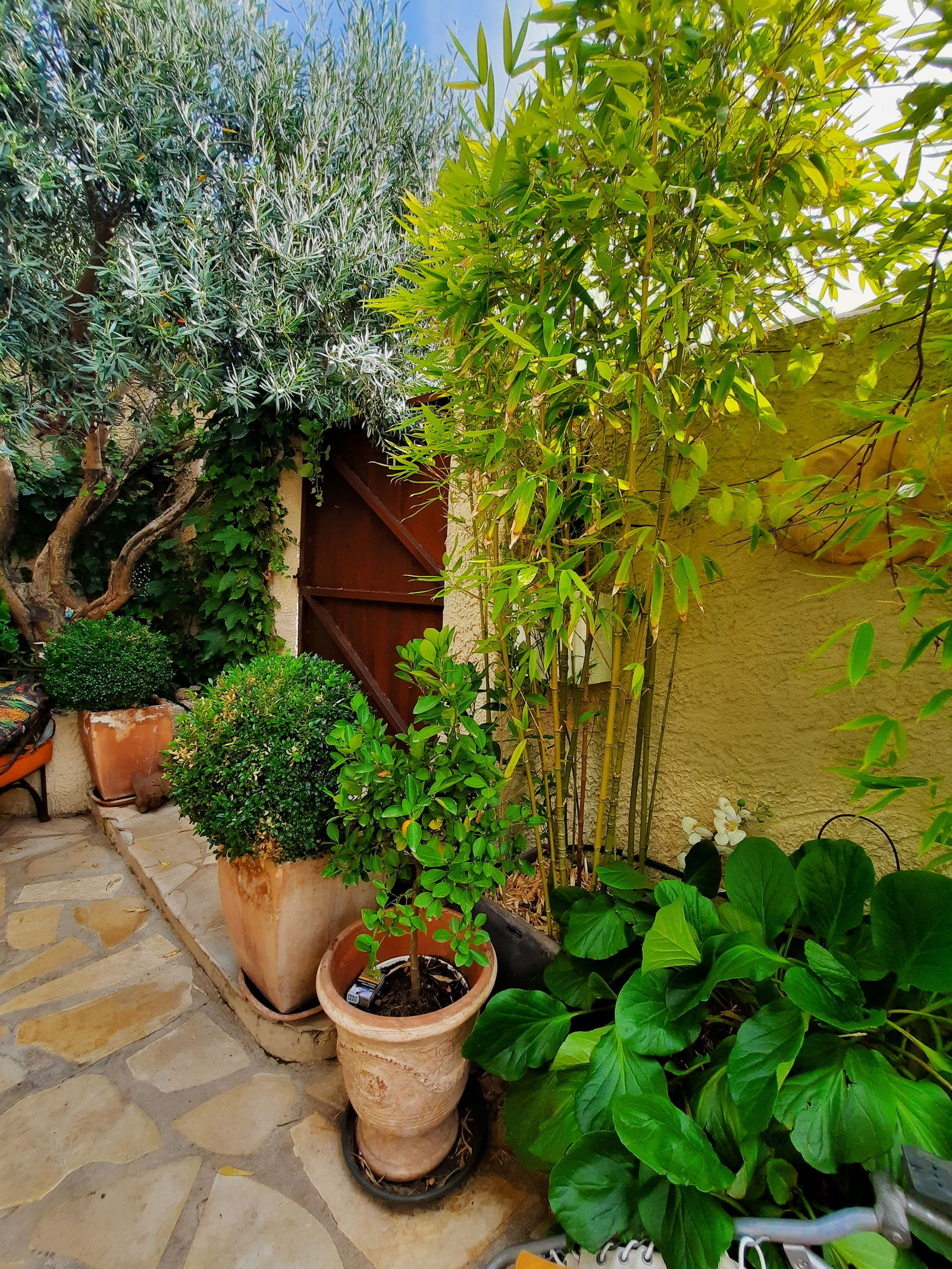 Quedarse En Casa Bouc-Bel-Air 251215