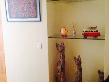 Homestay Alacant 124391-8