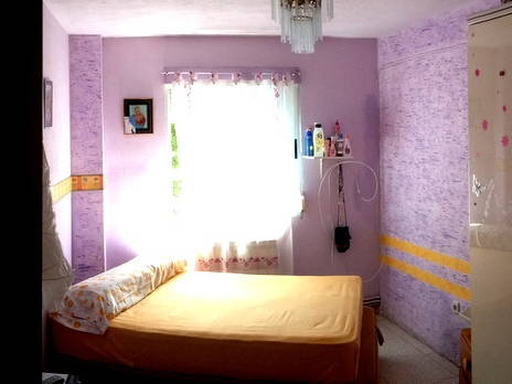 Colocation Torrejón de Ardoz 110817-1