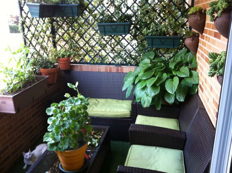 Quedarse En Casa Majadahonda 93485