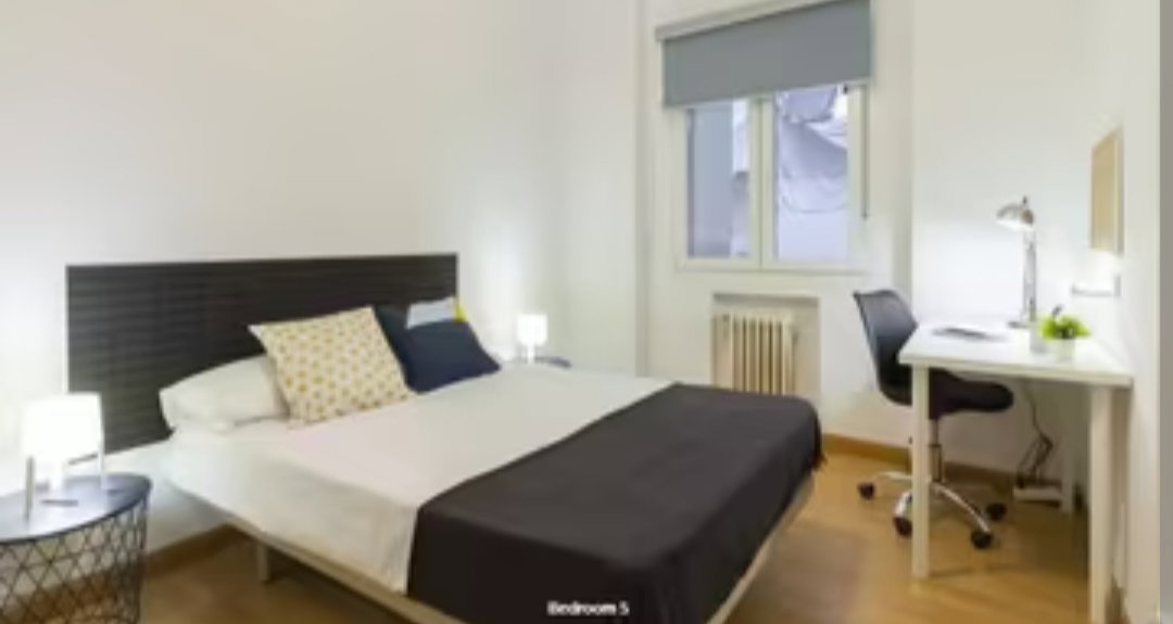 Colocación Pamplona 266736