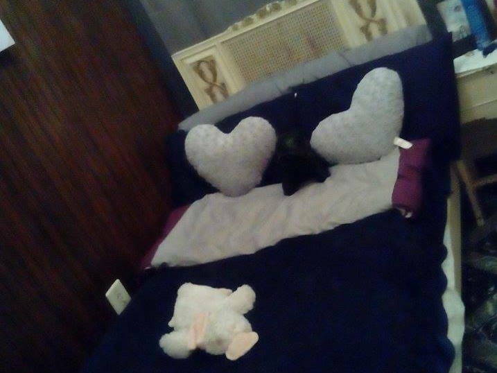 Gastfamilie València 116290-1