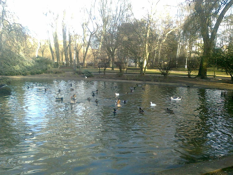 Colocation León 32644-1