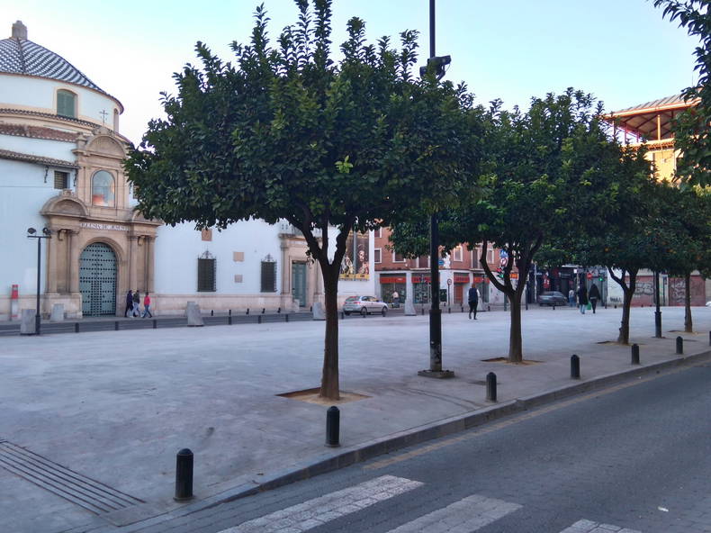 Kolokacja Murcia 125337-1