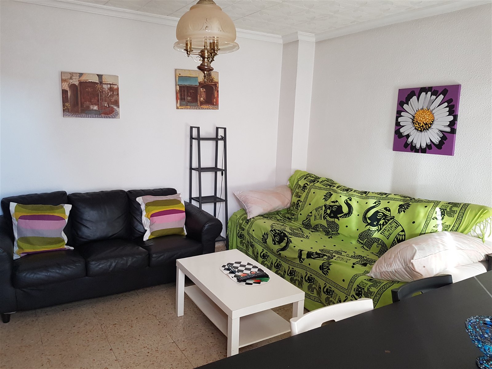 Homestay Torrevieja 208016