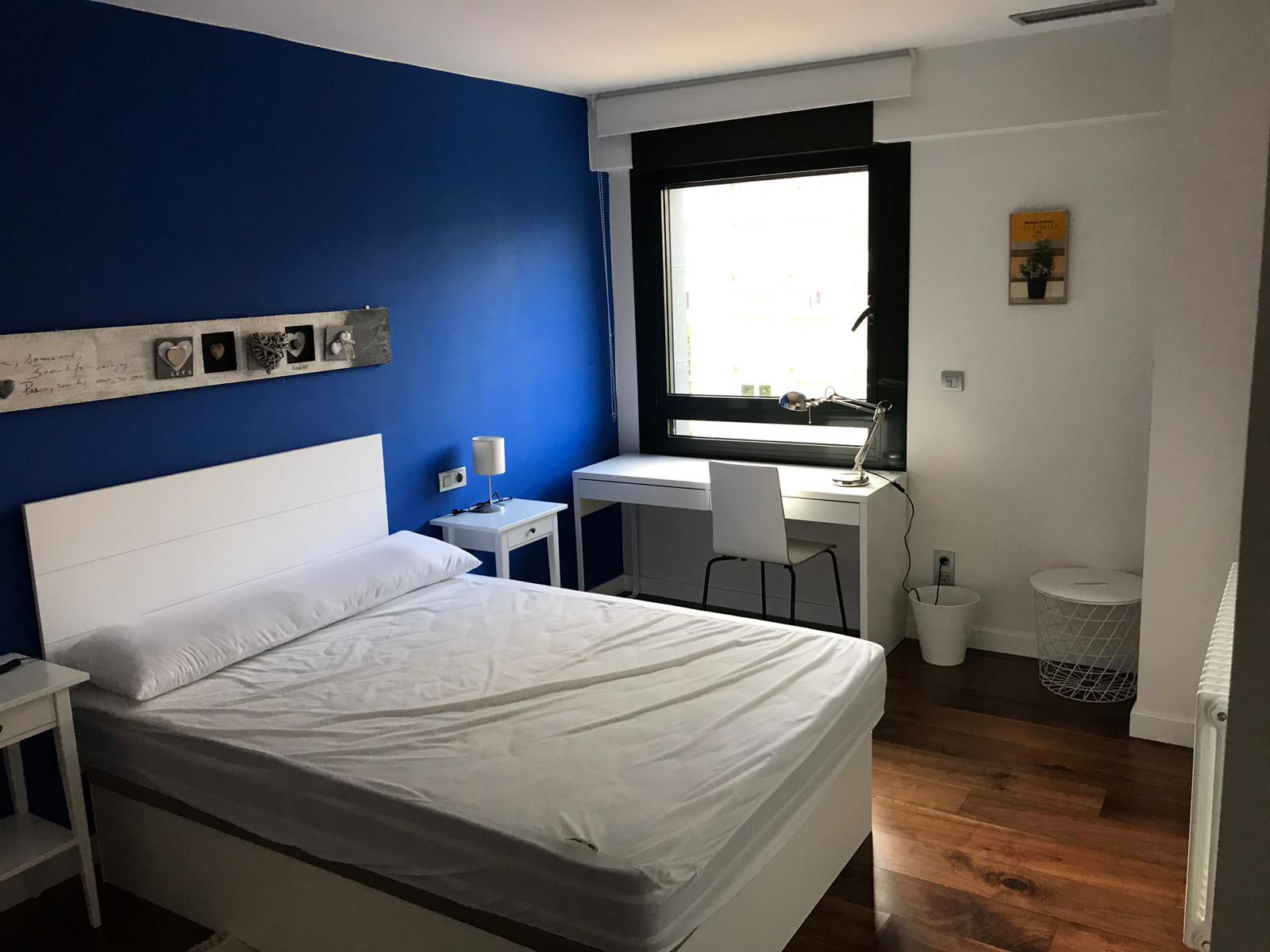 Colocación Pamplona 265747