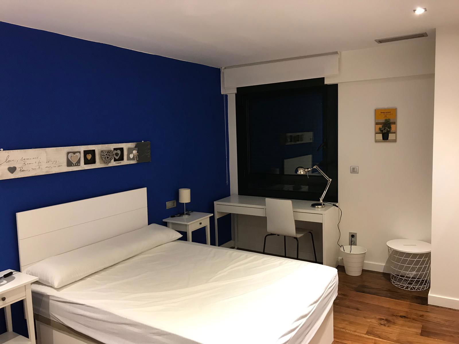 Colocación Pamplona 265747