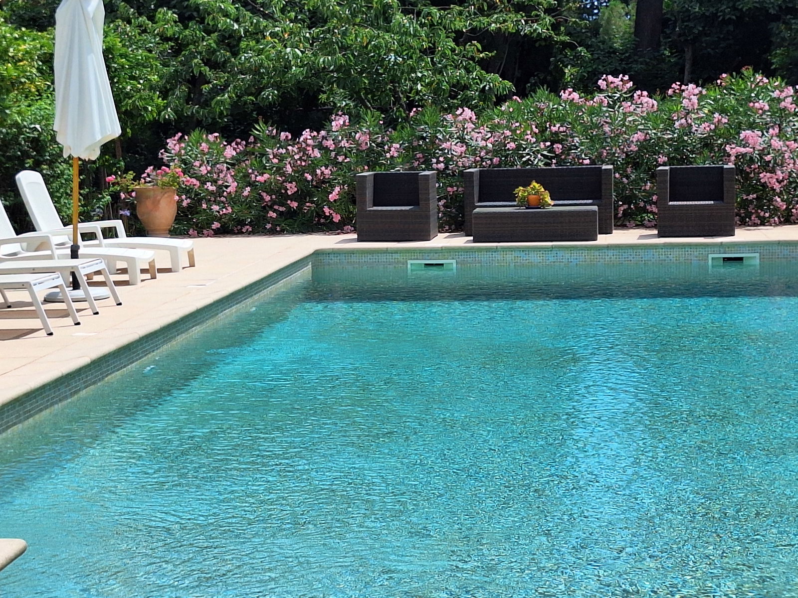 Coliving Mougins 211534